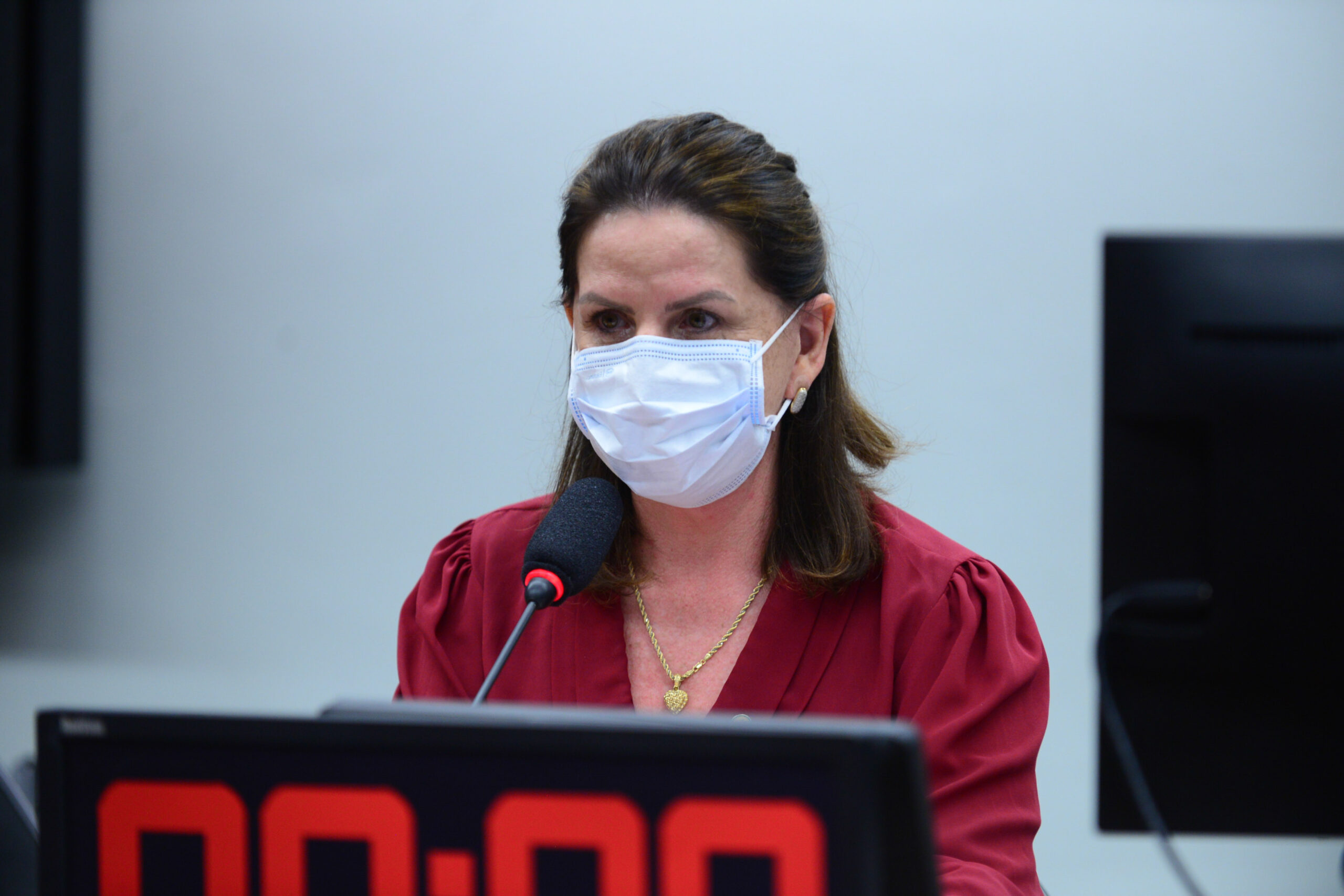 Grupo de trabalho, coordenado por Carmen Zanotto, aprova relatório final do piso salarial da enfermagem