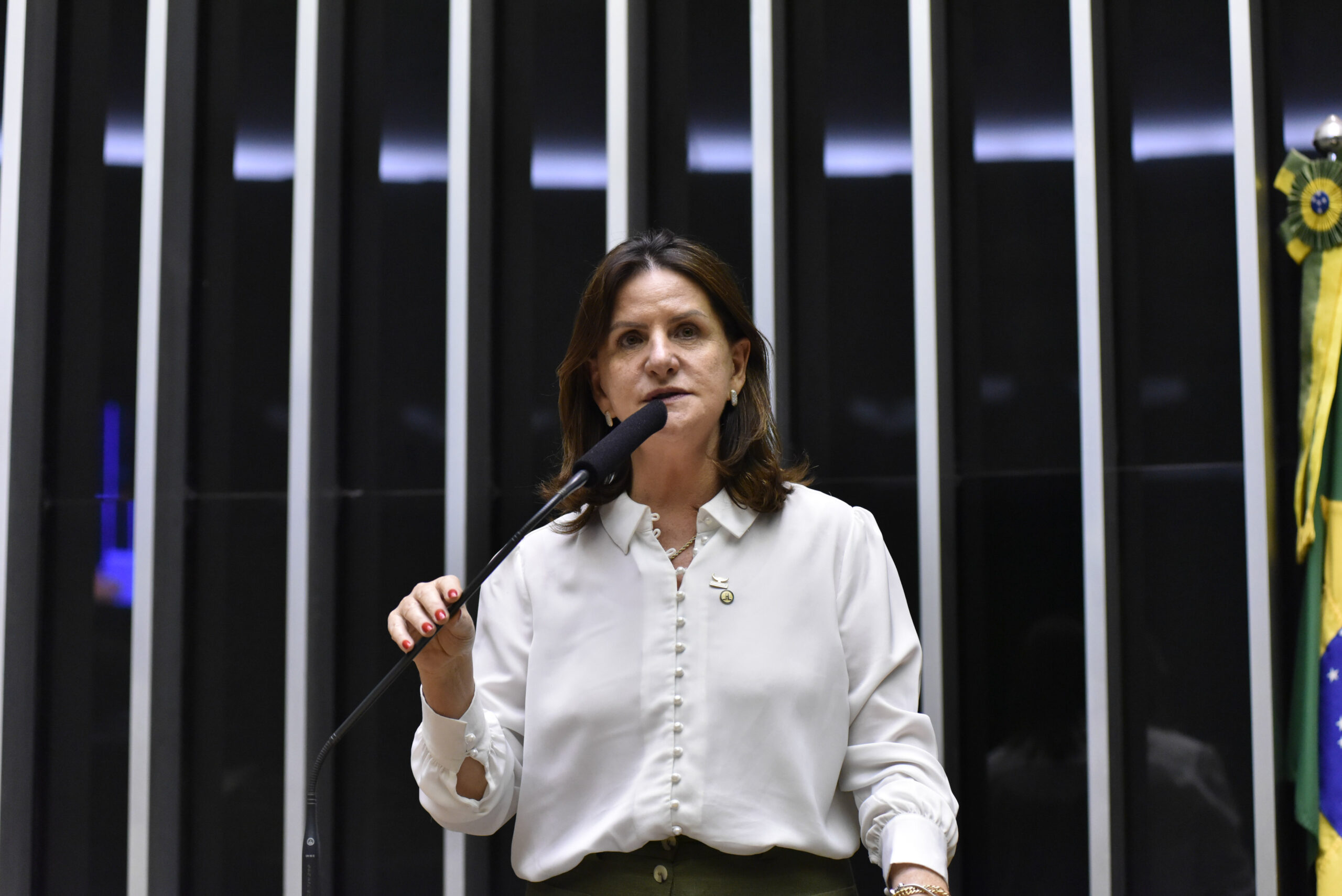 Carmen Zanotto reforça compromisso com votação do piso da Enfermagem