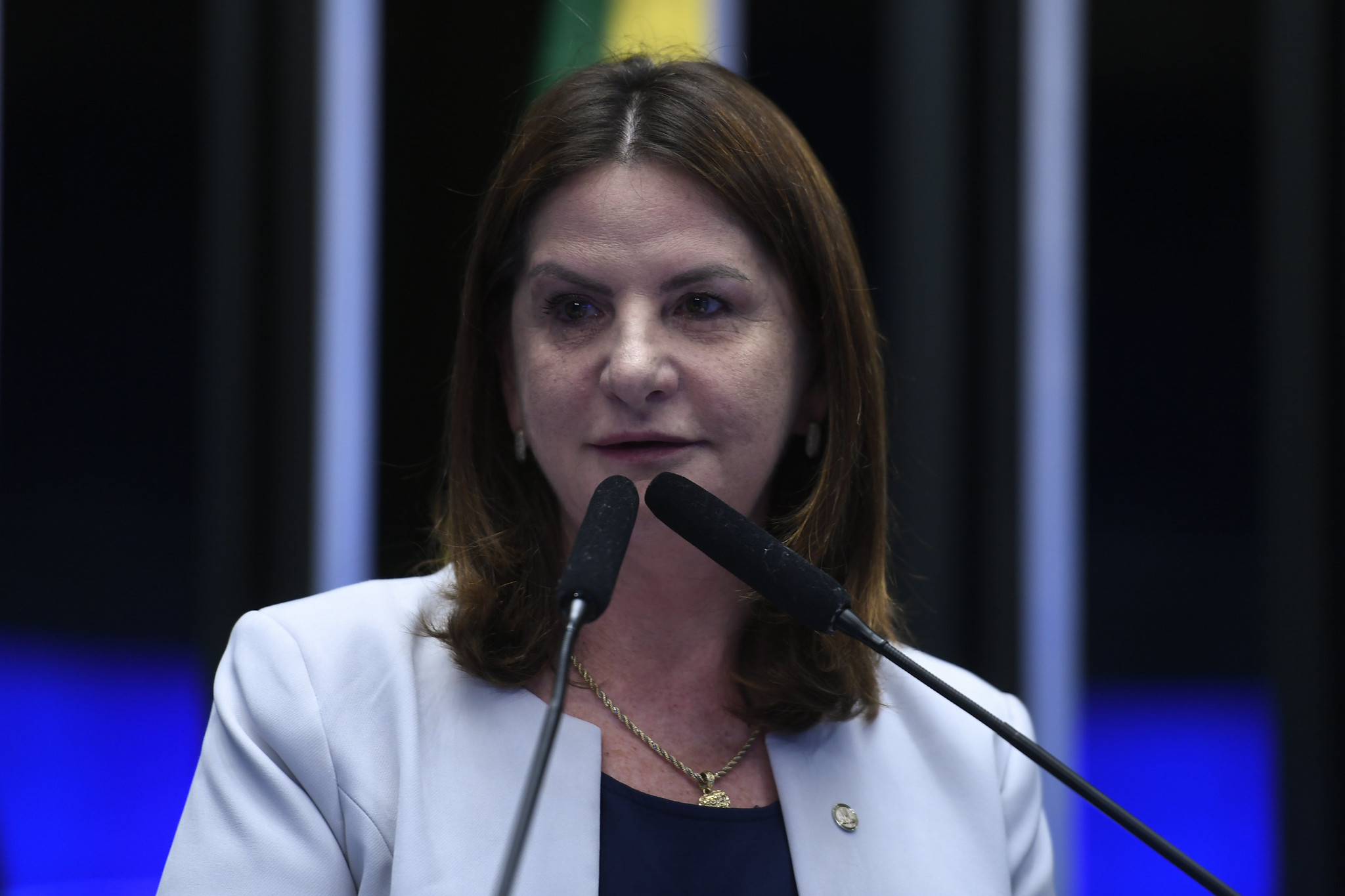 Em sessão solene no Senado, Carmen Zanotto destaca força das micro e pequenas empresas no Brasil